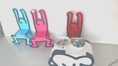 早期離職した実家暮らし24歳女ニート、遂に就職が決まりました！！