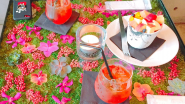 【転職エージェント】ハタラクティブ経由で再就職が2週間で決まった！良かった点と気になった点など【口コミ】